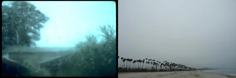 California 5