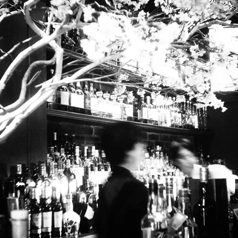 Moriyama 41