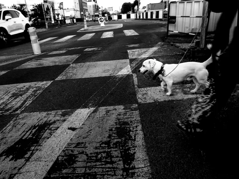 Moriyama 26