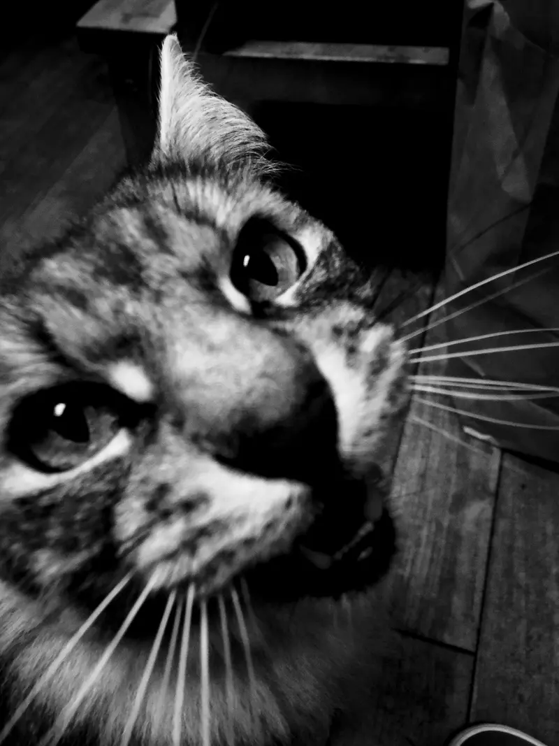 Moriyama