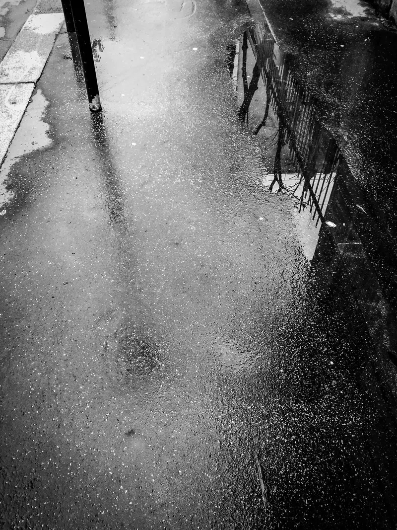 Moriyama 15