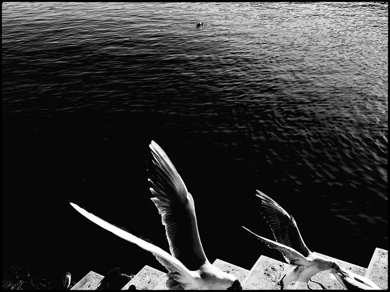 Moriyama 34