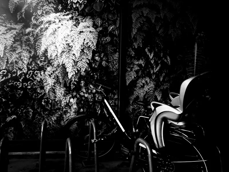 Moriyama 9